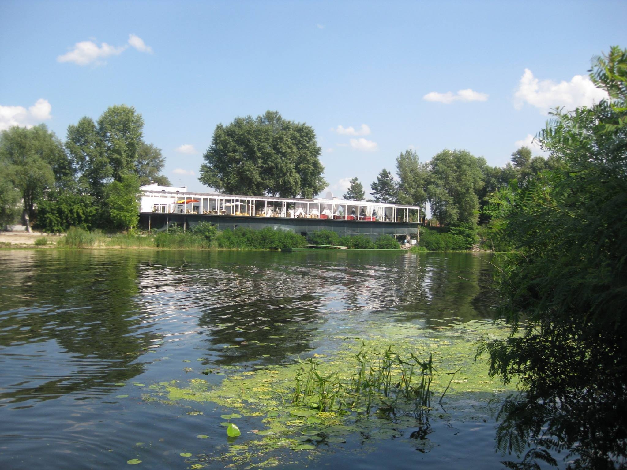 Виды водных композиций 