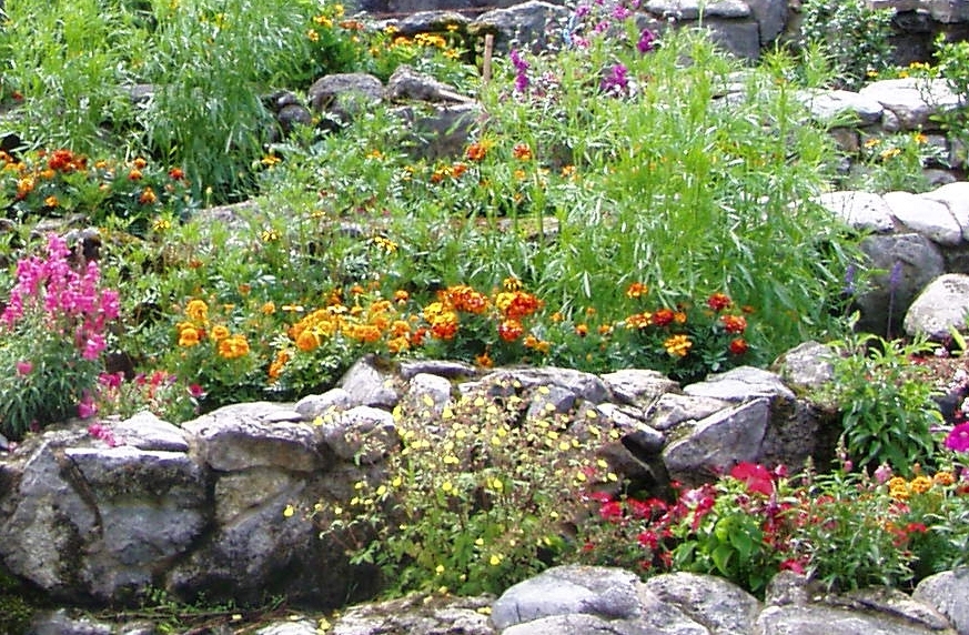 Как устроить альпинарий