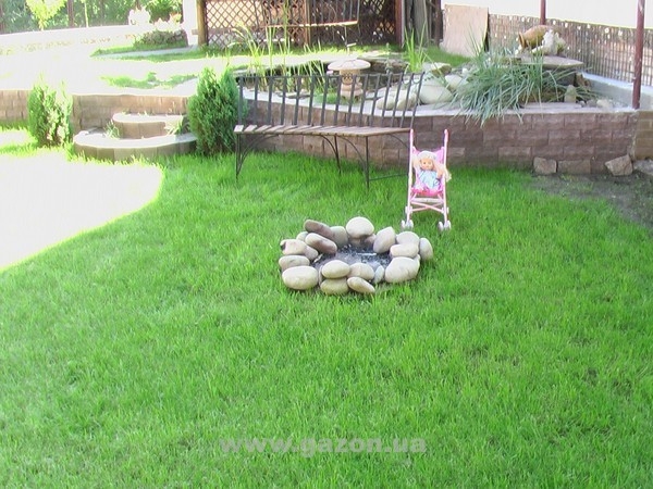 Шесть заповедей озеленения малых участков